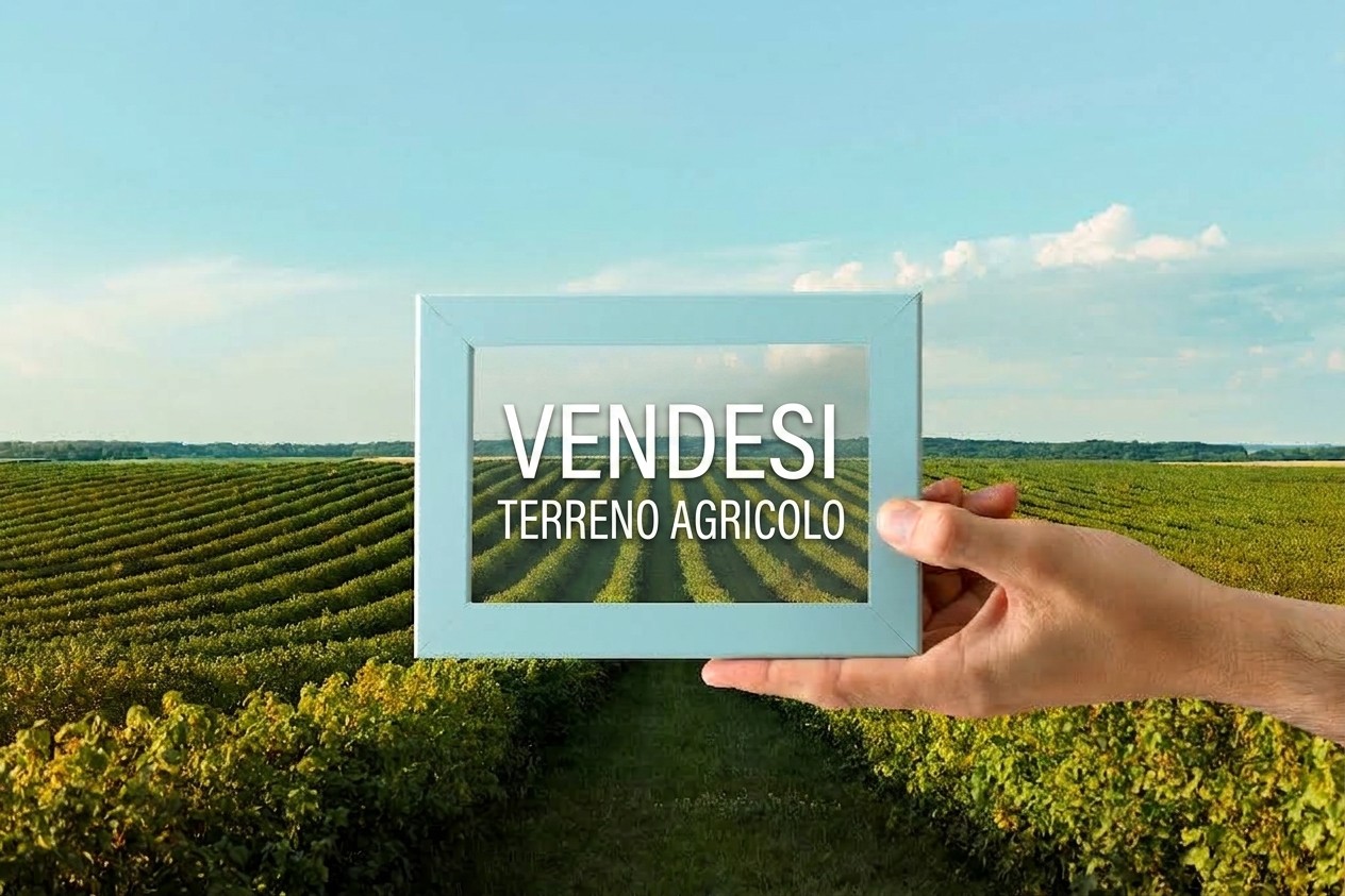 Vendita terreno agricolo in Salussola